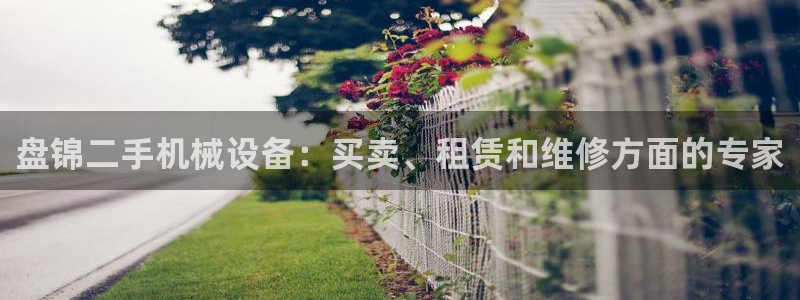 杏盛官网登录