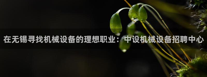 杏盛平台官网注册