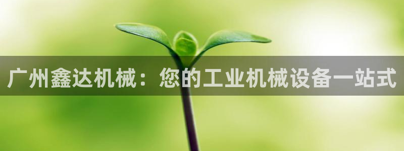 杏盛乐岳35994誓