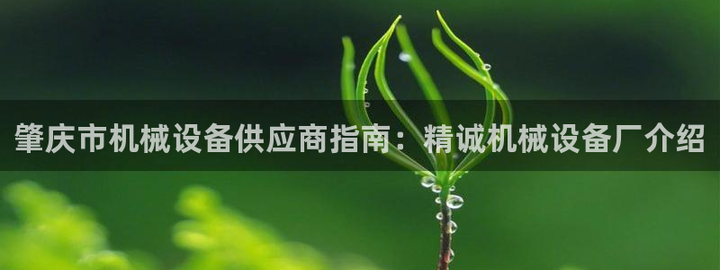 杏盛平台登陆地址：肇庆市机械设备供应商指南：精诚机械设备厂介绍