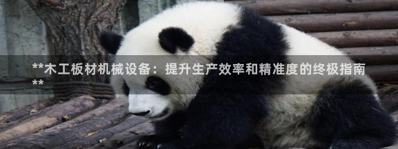 杏盛平台注册登录：**木工板材机械设备：提升生产效率和精准度的终极指南
**