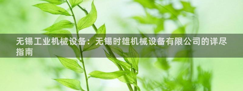 杏盛平台注册：无锡工业机械设备：无锡时雄机械设备有限公司的详尽
指南