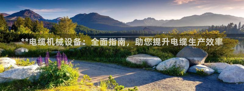 杏盛平台官网注册登录：**电缆机械设备：全面指南，助您提升电缆生产效率
**