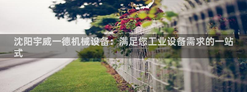 杏盛平台登陆地址：沈阳宇威一德机械设备：满足您工业设备需求的一站
式