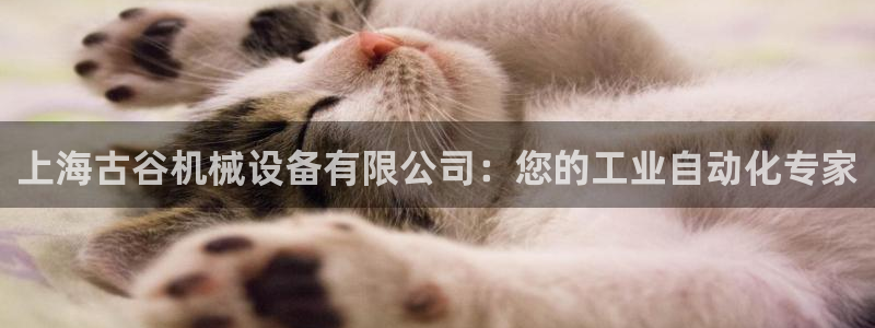 杏盛平台：上海古谷机械设备有限公司：您的工业自动化专家