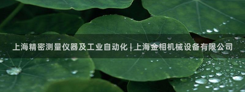 杏盛东24 35 53：上海精密测量仪器及工业自动化 | 上海金相机械设备有限公