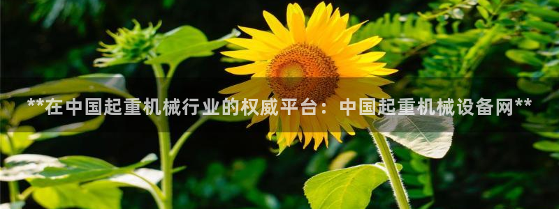 杏盛主管：**在中国起重机械行业的权威平台：中国起重机械设备网**