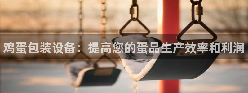 杏盛官网：鸡蛋包装设备：提高您的蛋品生产效率和利润