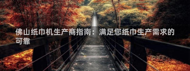 杏盛平台注册登录：佛山纸巾机生产商指南：满足您纸巾生产需求的
可靠