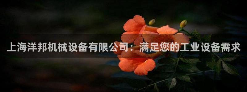 杏盛平台注册：上海洋邦机械设备有限公司：满足您的工业设备需求