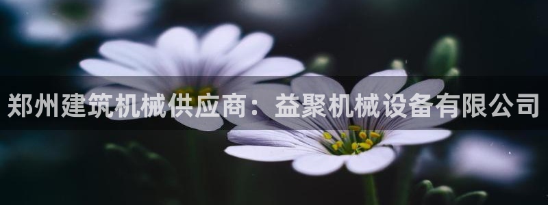 杏盛平台官网注册登录：郑州建筑机械供应商：益聚机械设备有限公司