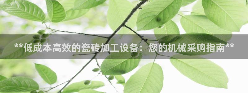 杏盛平台登陆地址：**低成本高效的瓷砖加工设备：您的机械采购指南**
