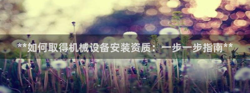 杏盛东24 35 53：**如何取得机械设备安装资质：一步一步指南**