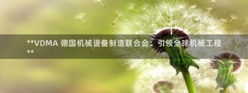 杏盛官网：**VDMA 德国机械设备制造联合会：引领全球机械工程
**