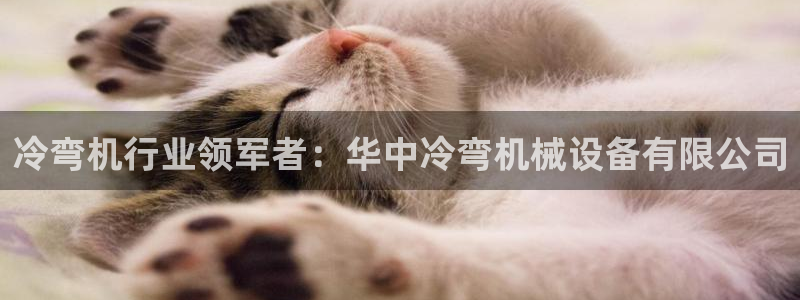 杏盛代理：冷弯机行业领军者：华中冷弯机械设备有限公司