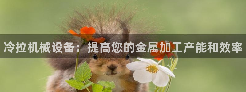 杏盛app下载：冷拉机械设备：提高您的金属加工产能和效率