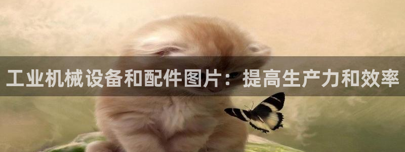 杏盛东24 35 53：工业机械设备和配件图片：提高生产力和效率