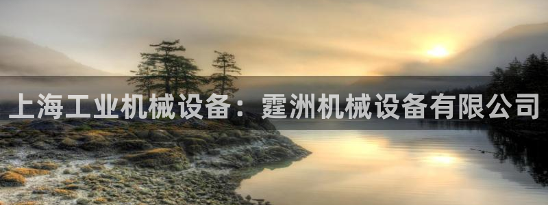 杏盛平台：上海工业机械设备：霆洲机械设备有限公司