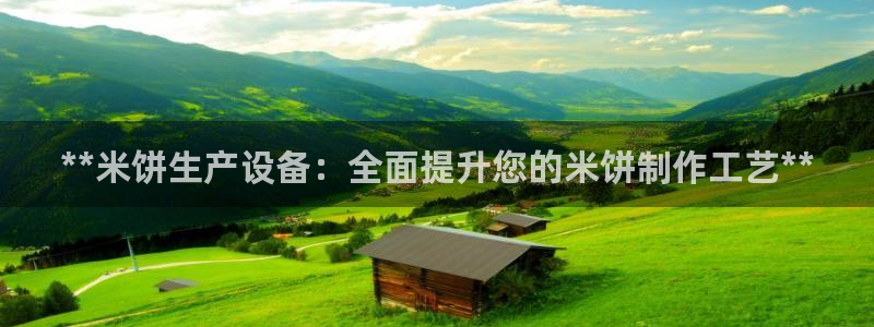 杏盛官网：**米饼生产设备：全面提升您的米饼制作工艺**