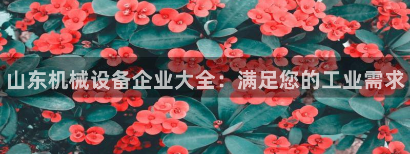 杏盛平台官网：山东机械设备企业大全：满足您的工业需求