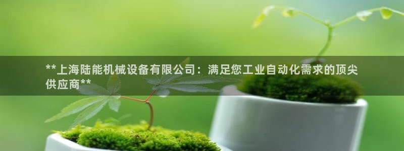 杏盛主管：**上海陆能机械设备有限公司：满足您工业自动化需求的顶尖
供应商**