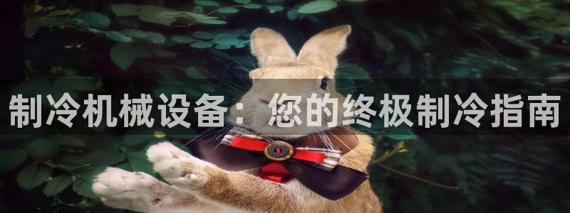 杏盛主管：制冷机械设备：您的终极制冷指南