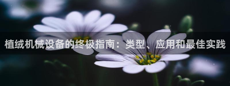 杏盛平台代理注册：植绒机械设备的终极指南：类型、应用和最佳实践