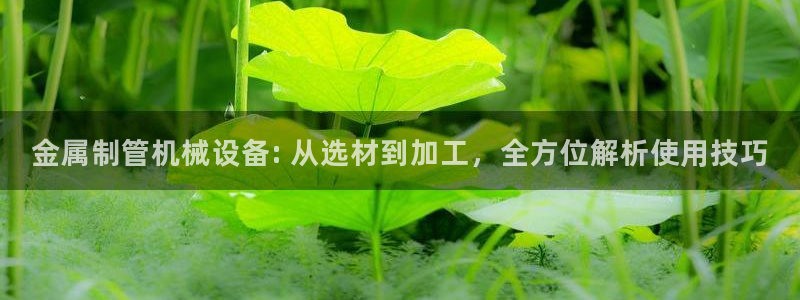 杏盛东24 35 53：金属制管机械设备: 从选材到加工，全方位解析使用技巧