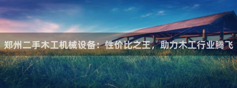 杏盛平台开户：郑州二手木工机械设备：性价比之王，助力木工行业腾飞