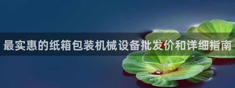 杏盛app下载：最实惠的纸箱包装机械设备批发价和详细指南