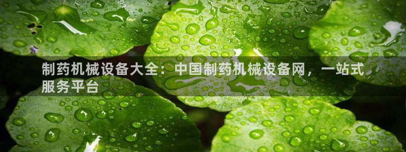 杏盛代理