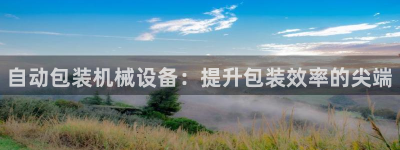 杏盛官网登录：自动包装机械设备：提升包装效率的尖端
