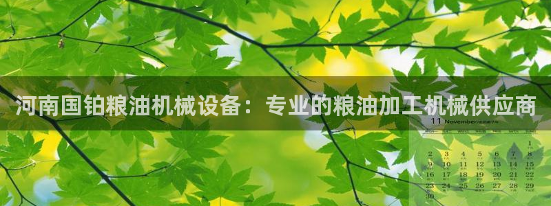 杏盛平台登陆地址：河南国铂粮油机械设备：专业的粮油加工机械供应商