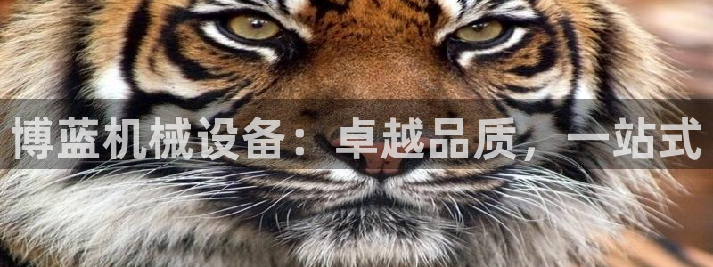 杏盛平台开户：博蓝机械设备：卓越品质，一站式