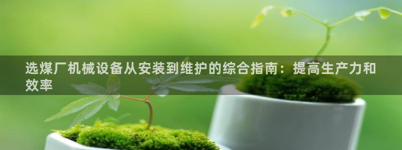 杏盛平台主管：选煤厂机械设备从安装到维护的综合指南：提高生产力和
效率