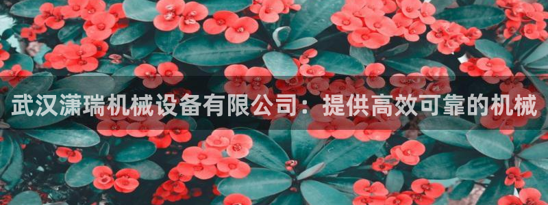杏盛开户地址：武汉潇瑞机械设备有限公司：提供高效可靠的机械