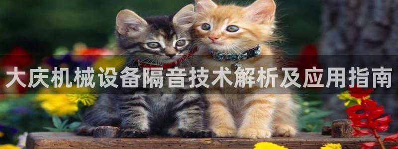 杏盛娱乐代理：大庆机械设备隔音技术解析及应用指南