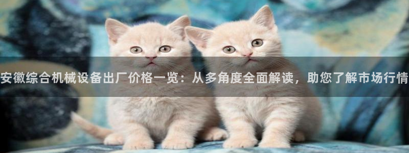 杏盛平台代理注册：安徽综合机械设备出厂价格一览：从多角度全面解读，助您了解市场行