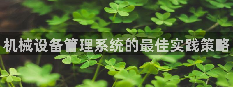 杏盛平台代理：机械设备管理系统的最佳实践策略