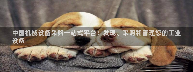 杏盛主管：中国机械设备采购一站式平台：发现、采购和管理您的工业
设备