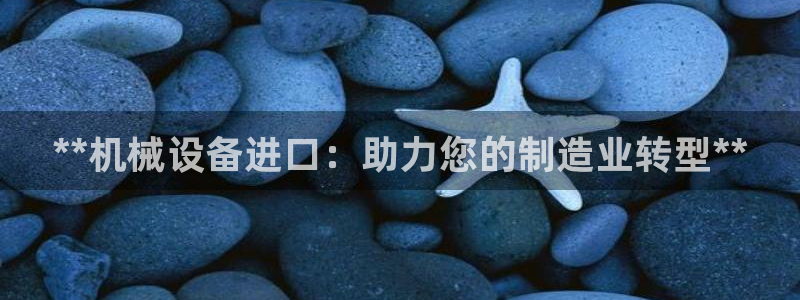 杏盛官网：**机械设备进口：助力您的制造业转型**