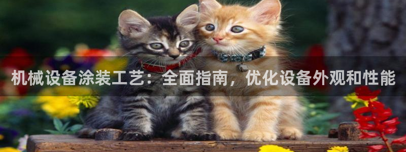 杏盛东24 35 53：机械设备涂装工艺：全面指南，优化设备外观和性能