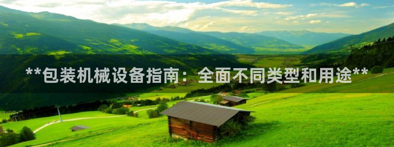 杏盛东24 35 53：**包装机械设备指南：全面不同类型和用途**