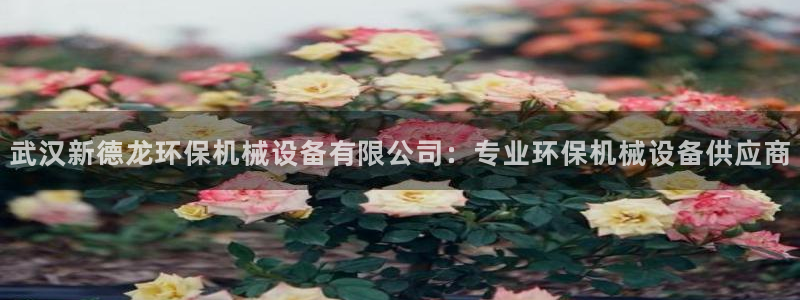 杏盛娱乐代理：武汉新德龙环保机械设备有限公司：专业环保机械设备供应商