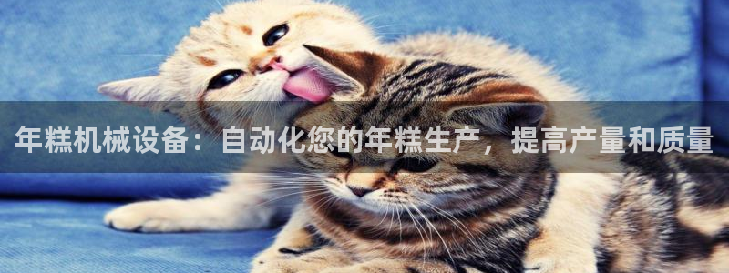 杏盛平台官网注册：年糕机械设备：自动化您的年糕生产，提高产量和质量