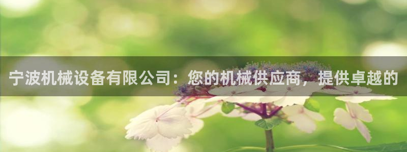 杏盛平台代理注册：宁波机械设备有限公司：您的机械供应商，提供卓越的
