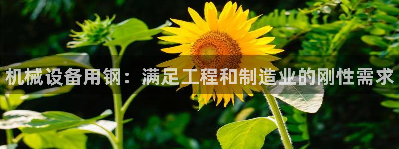 杏盛平台：机械设备用钢：满足工程和制造业的刚性需求