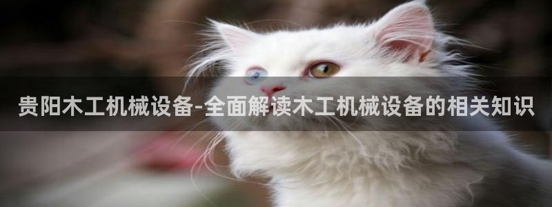 杏盛平台：贵阳木工机械设备-全面解读木工机械设备的相关知识