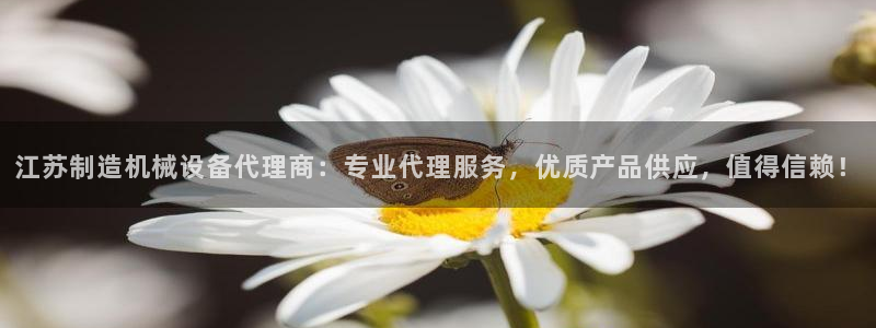 杏盛平台代理注册：江苏制造机械设备代理商：专业代理服务，优质产品供应，值得信赖！