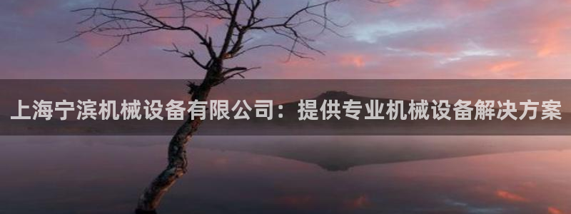 杏盛平台登录：上海宁滨机械设备有限公司：提供专业机械设备解决方案